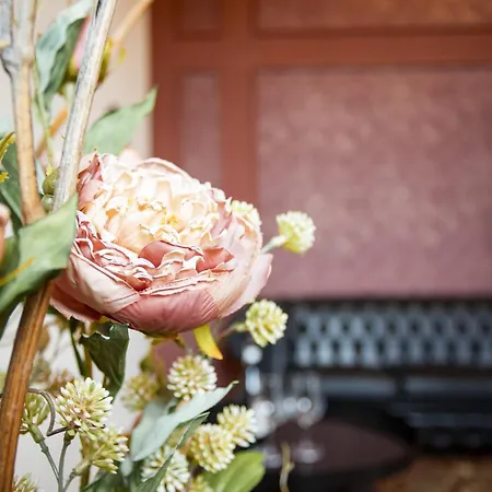 Palazzo Ratti Boutique 公寓式酒店 凯拉斯科