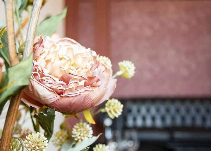 Palazzo Ratti Boutique アパートホテル ケラスコ